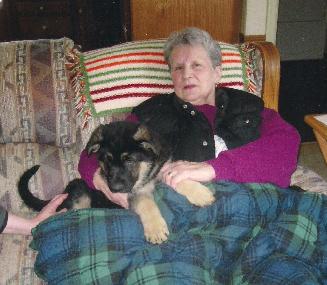 EZ Brooks Andre therapy dog