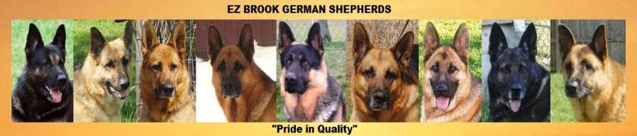 german shepherd puppies breeder ez brook kennel